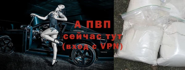 ПСИЛОЦИБИНОВЫЕ ГРИБЫ Дмитриев