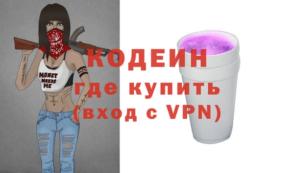 ПСИЛОЦИБИНОВЫЕ ГРИБЫ Дмитриев