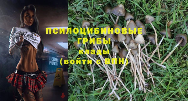гидра Струнино
