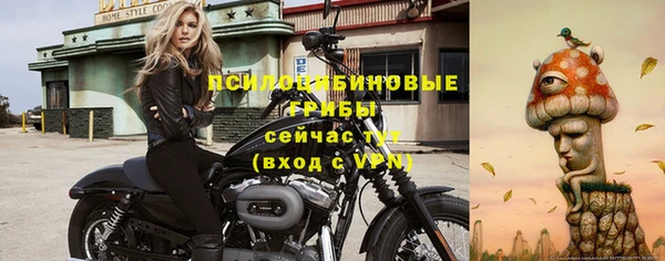 ПСИЛОЦИБИНОВЫЕ ГРИБЫ Дмитриев